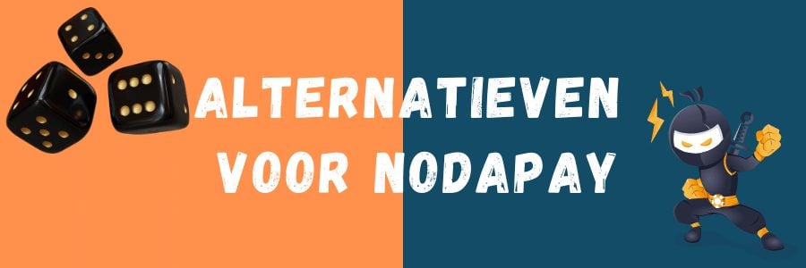 Alternatieven voor NodaPay