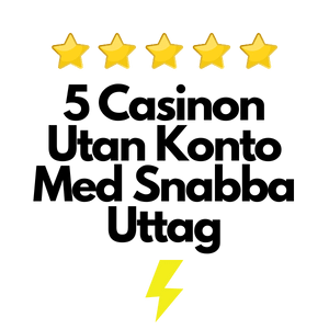 5 blixtsnabba casinon