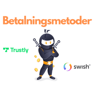 betalningsmetoder för casino casino med minsta insättning