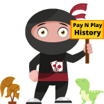 Geschiedenis achter Pay N Play