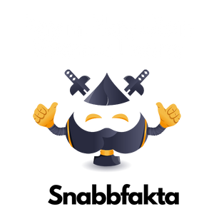 pay n play utan licens snabbfakta